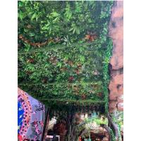 uploads/erp/collection/images/Home Garden/dgjiawang/XU0612847/img_b/XU0612847_img_b_4